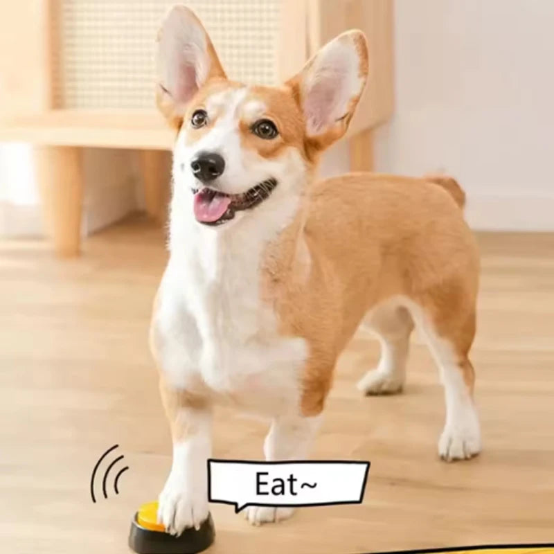 Voice Recording Dog Buttons for Communication