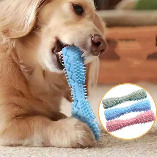 Toothbrush Teeth Cleaning Chew Stick