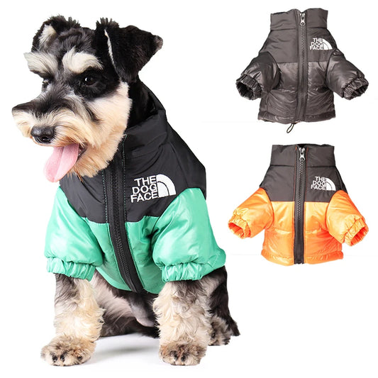 TheDogFace Warm Windproof Jacket